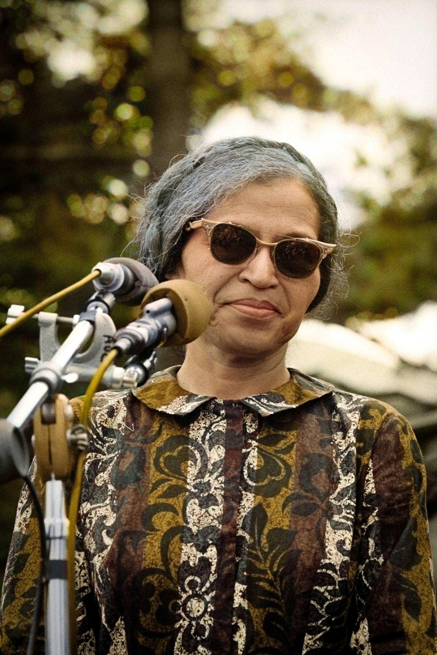 Rosa Parks: The Woman Who Stood Up by Sitting Down