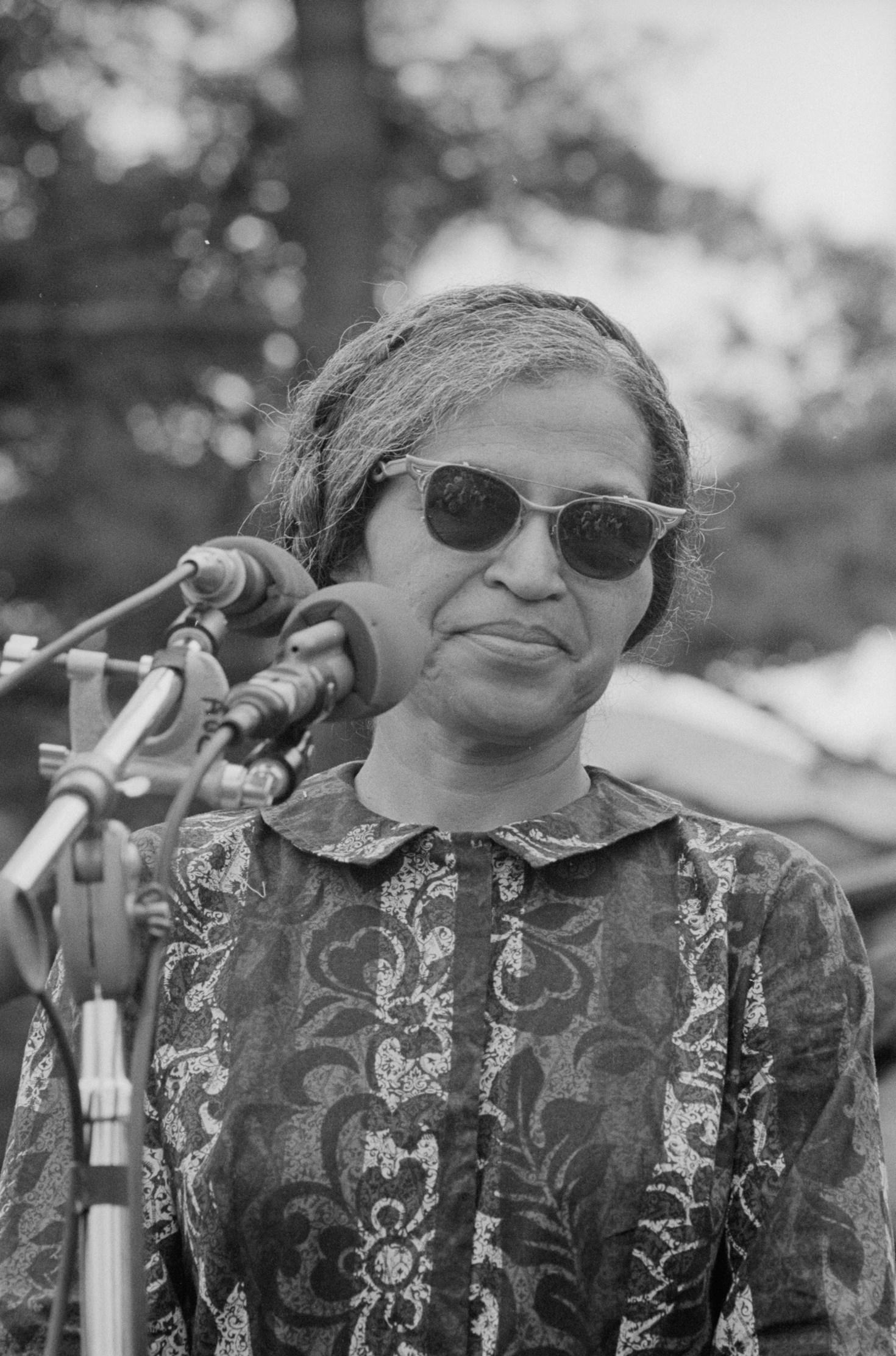 The Montgomery Bus Boycott: Rosa Parks’ Catalyst